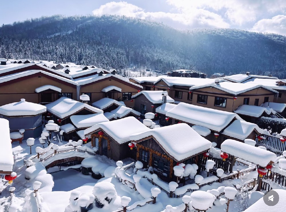 （沈进哈出）年味东北    沈阳  吉林万科滑雪  雾凇岛  长白山  雪乡  哈尔滨冰雪大世界7日 （纯玩0购物）