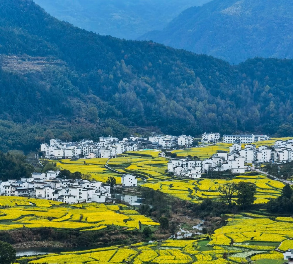江西井冈山+庐山+三清山+景德镇+婺源9日