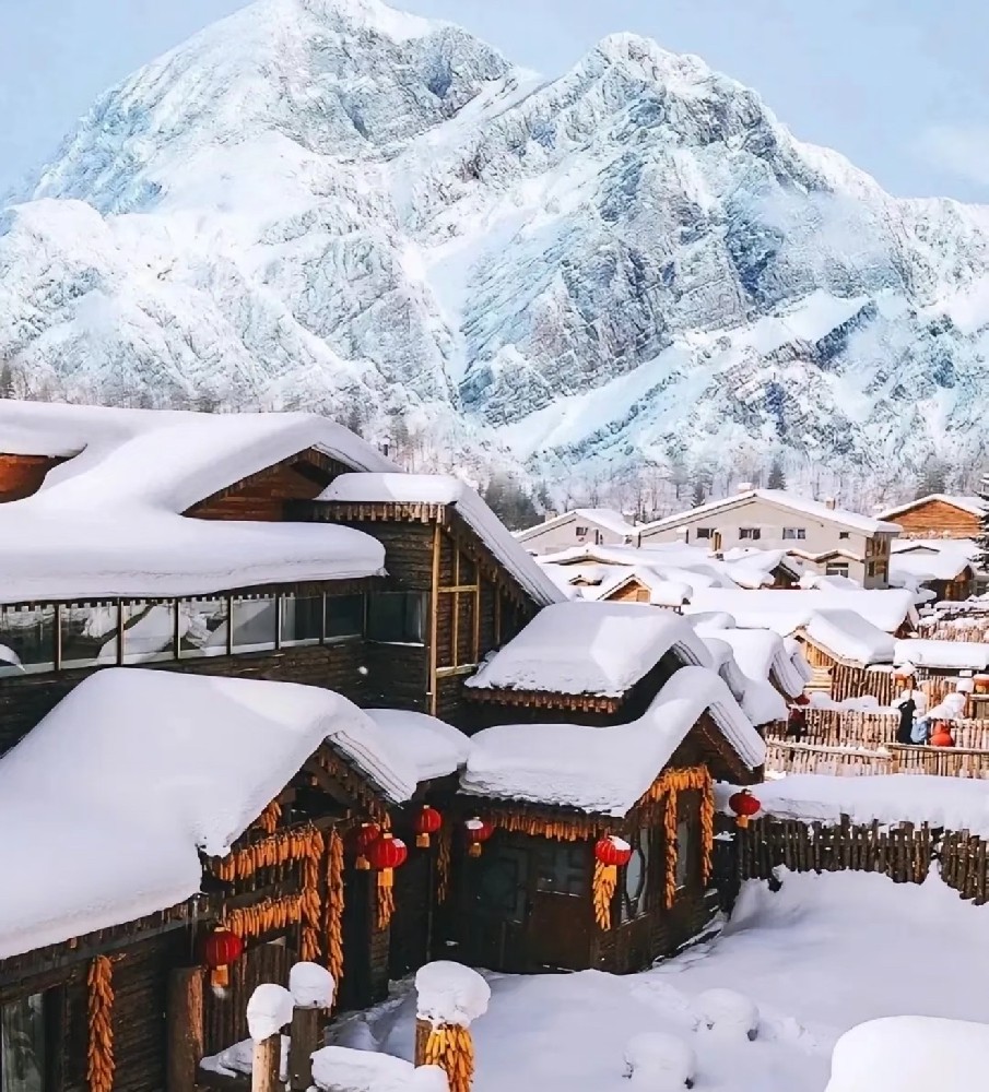 冬日追雪 5/6日游 0购物