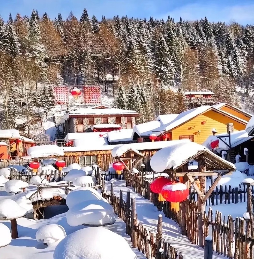 雪乡2日游 18人团  酒店接送 2+1车